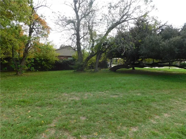 $125,000 | Tbd Palasota Drive, Bryan, TX 77803