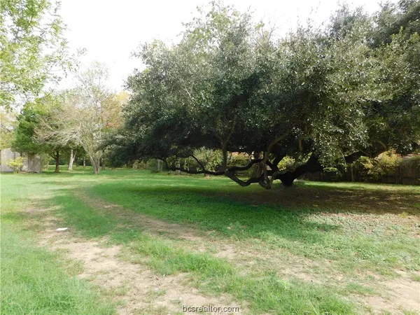 $125,000 | Tbd Palasota Drive, Bryan, TX 77803
