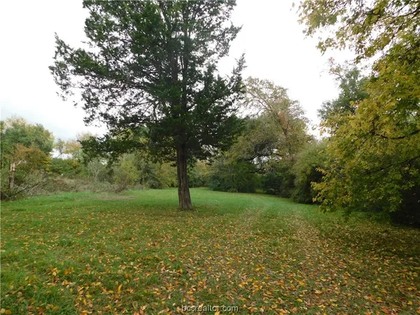 $125,000 | Tbd Palasota Drive, Bryan, TX 77803