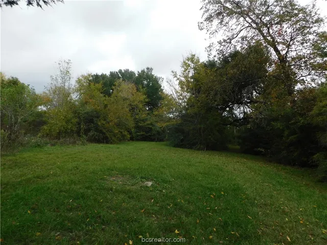 $125,000 | Tbd Palasota Drive, Bryan, TX 77803