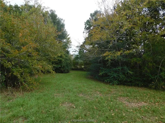 $125,000 | Tbd Palasota Drive, Bryan, TX 77803