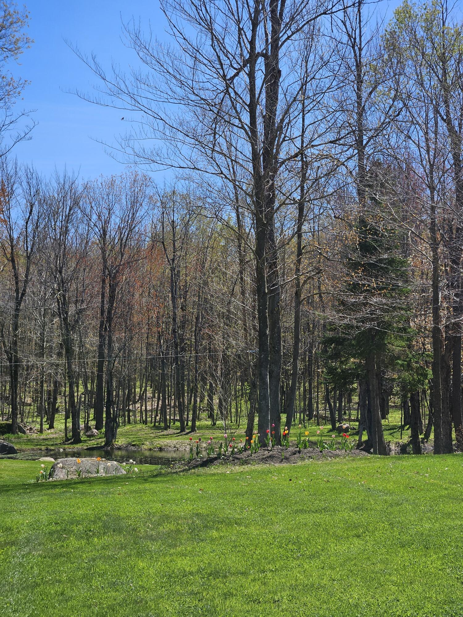 58 Hewitt Road St. Regis Falls, NY 12980 - Photo 89 of 126