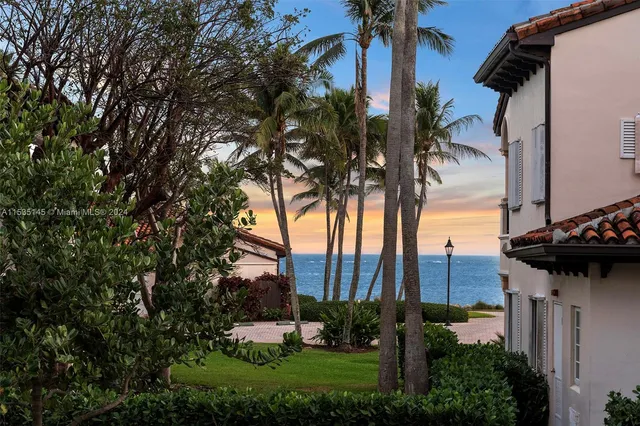 a view of a park with a tree
