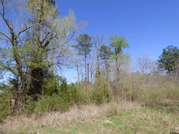$129,900 | 3302 County Road 3302, De Kalb, TX 75559