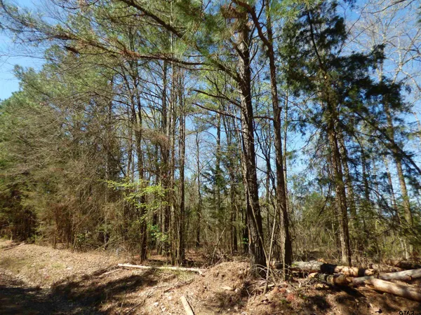 $129,900 | 3302 County Road 3302, De Kalb, TX 75559