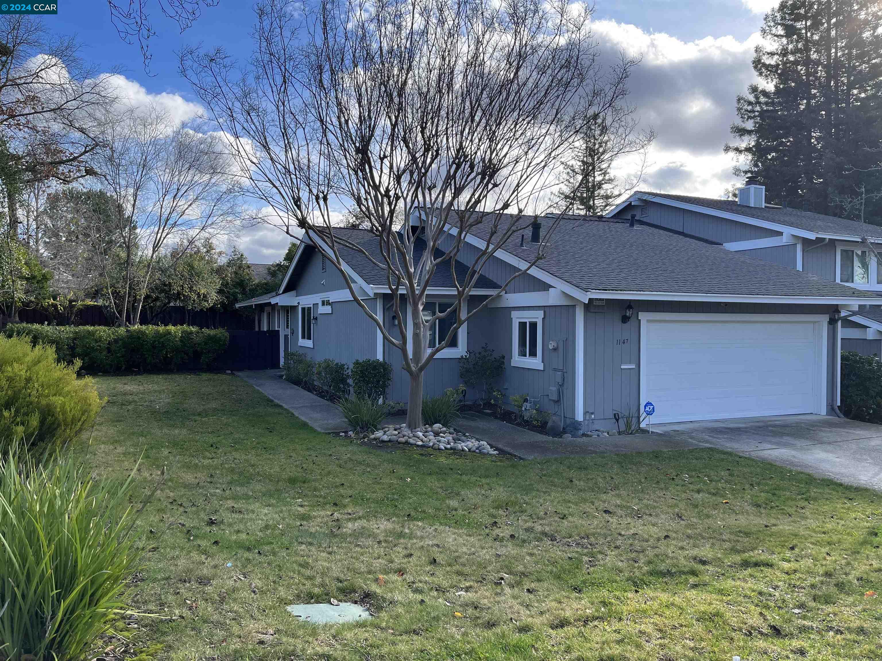 Glengarry Drive Walnut Creek, CA 94596 - Photo 2 of 21 a view of a yard in front of a house with plants and large tree