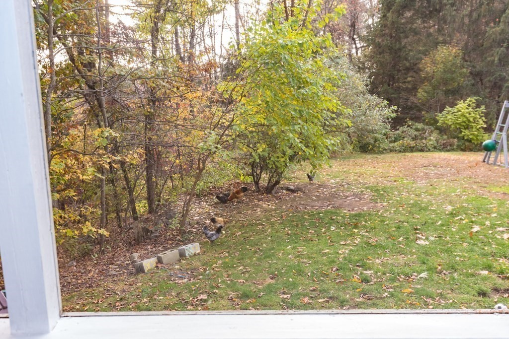 125 Flavell Road Groton, MA 01450 - Photo 28 of 30 Gallery Image 28