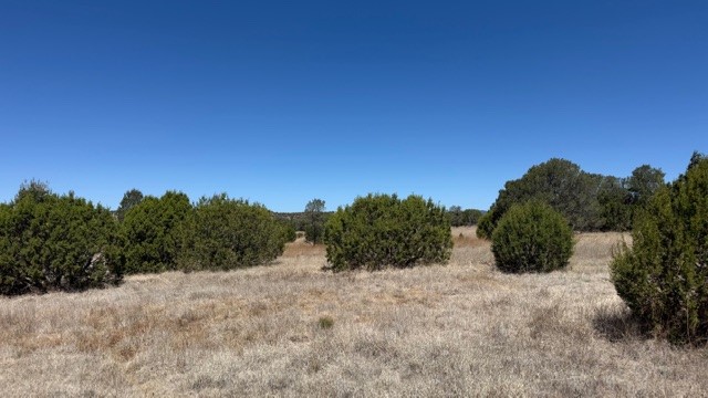 B55 Ribera Nm 87565 Ribera, NM 87560 - Photo 10 of 27