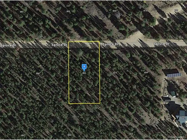 a view of a forest with trees