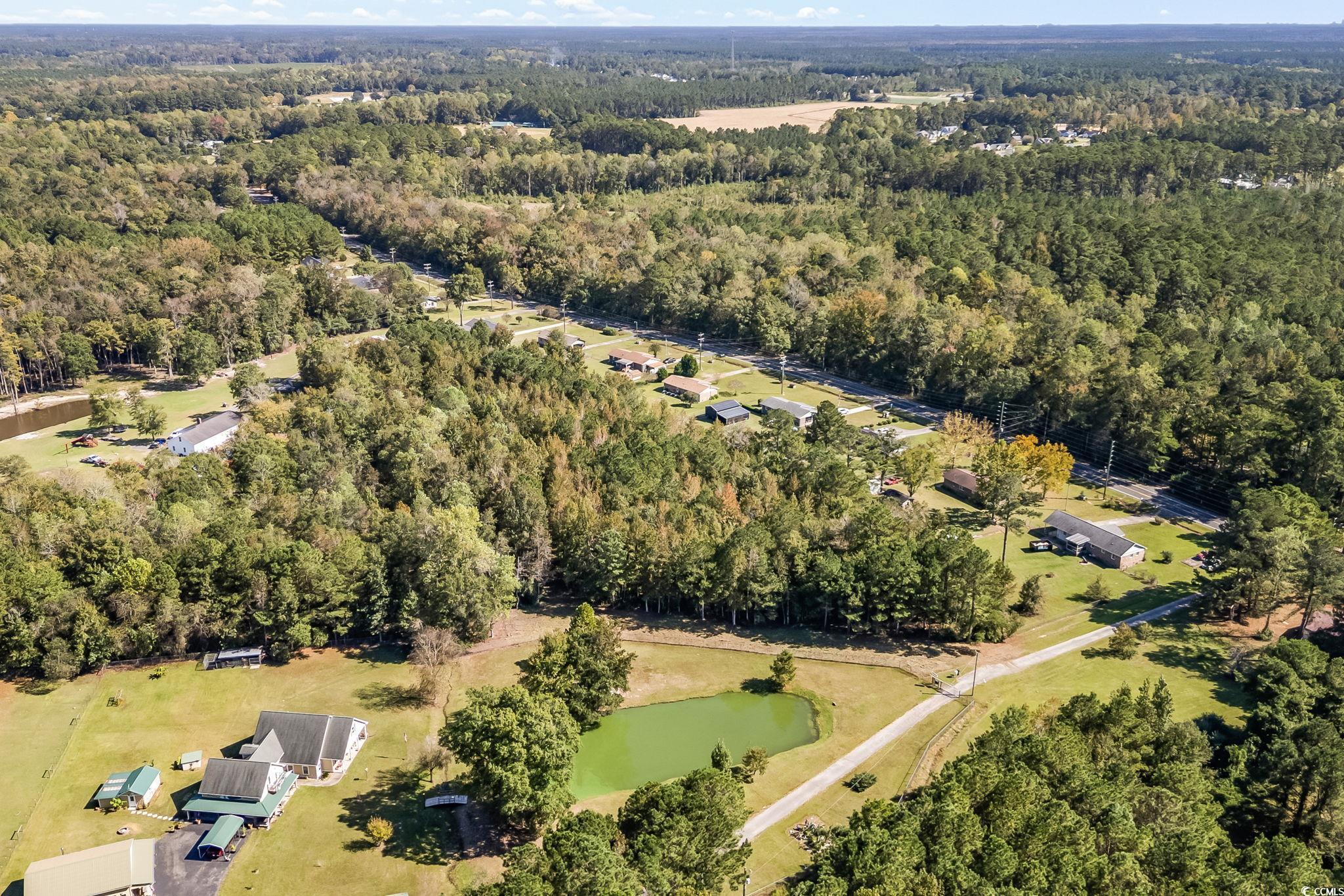 472 Highway 472 Conway, SC 29526 - Photo 16 of 30 View of property location featuring a large body of water and a forest