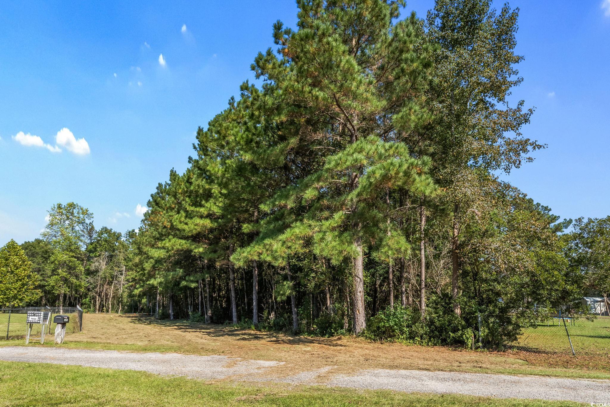 472 Highway 472 Conway, SC 29526 - Photo 3 of 30 View of road