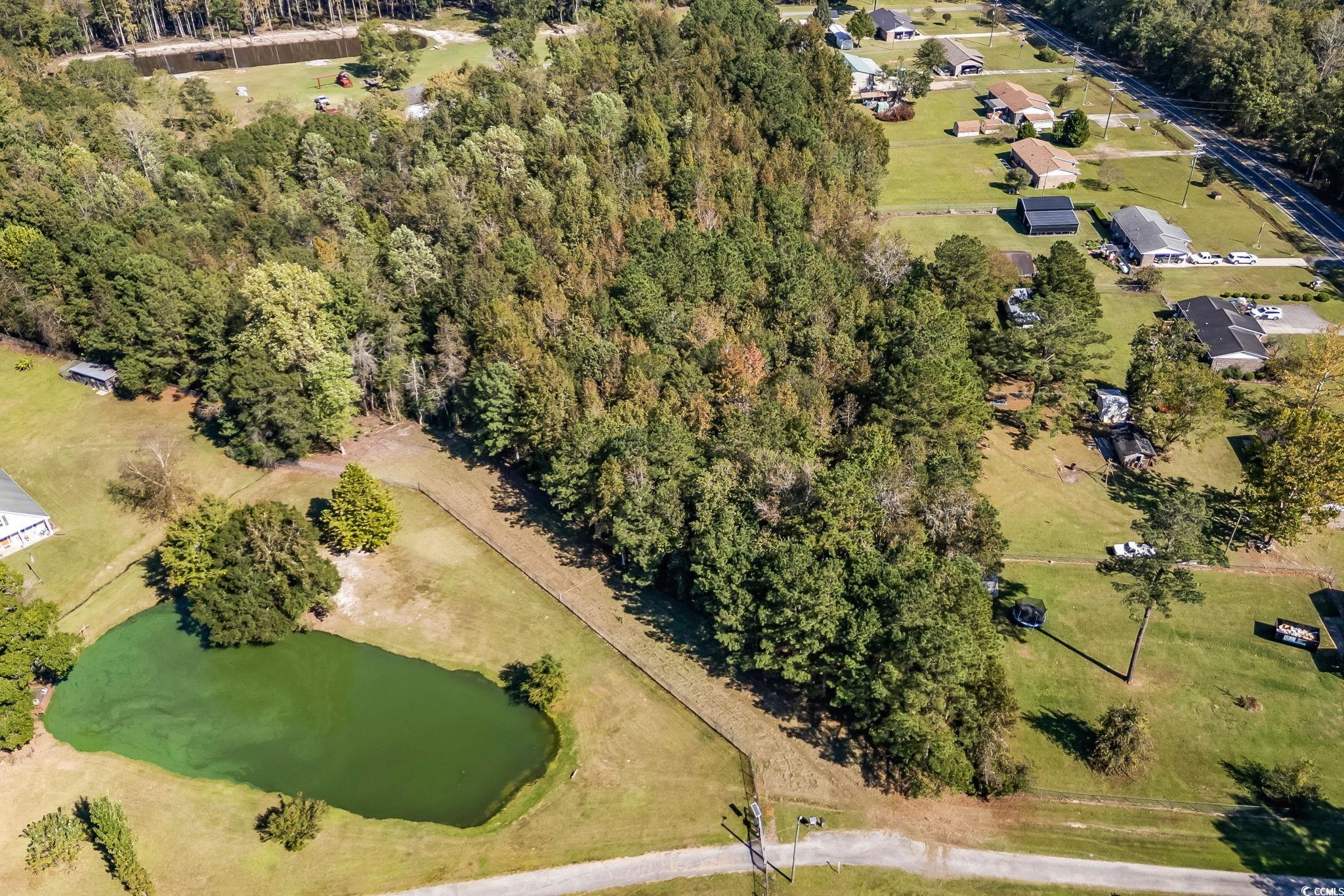 472 Highway 472 Conway, SC 29526 - Photo 7 of 30 Aerial view of property's location with a large body of water