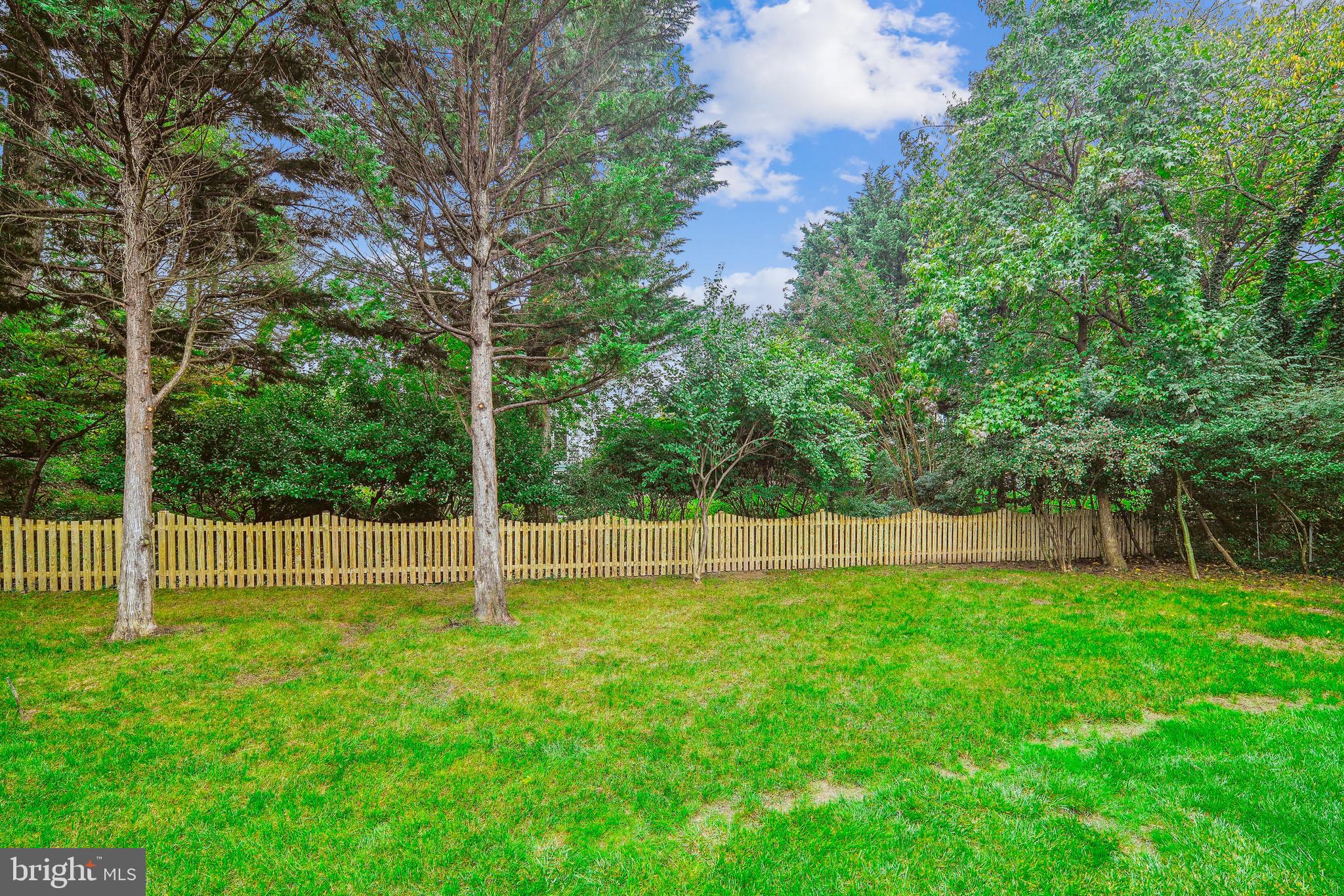 9829 Vale Road Vienna, VA 22181 - Photo 45 of 66 Backyard