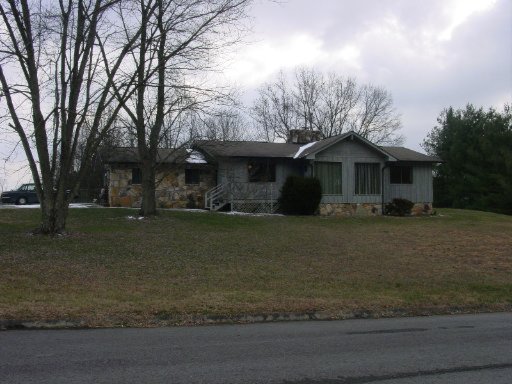 Primary Photo