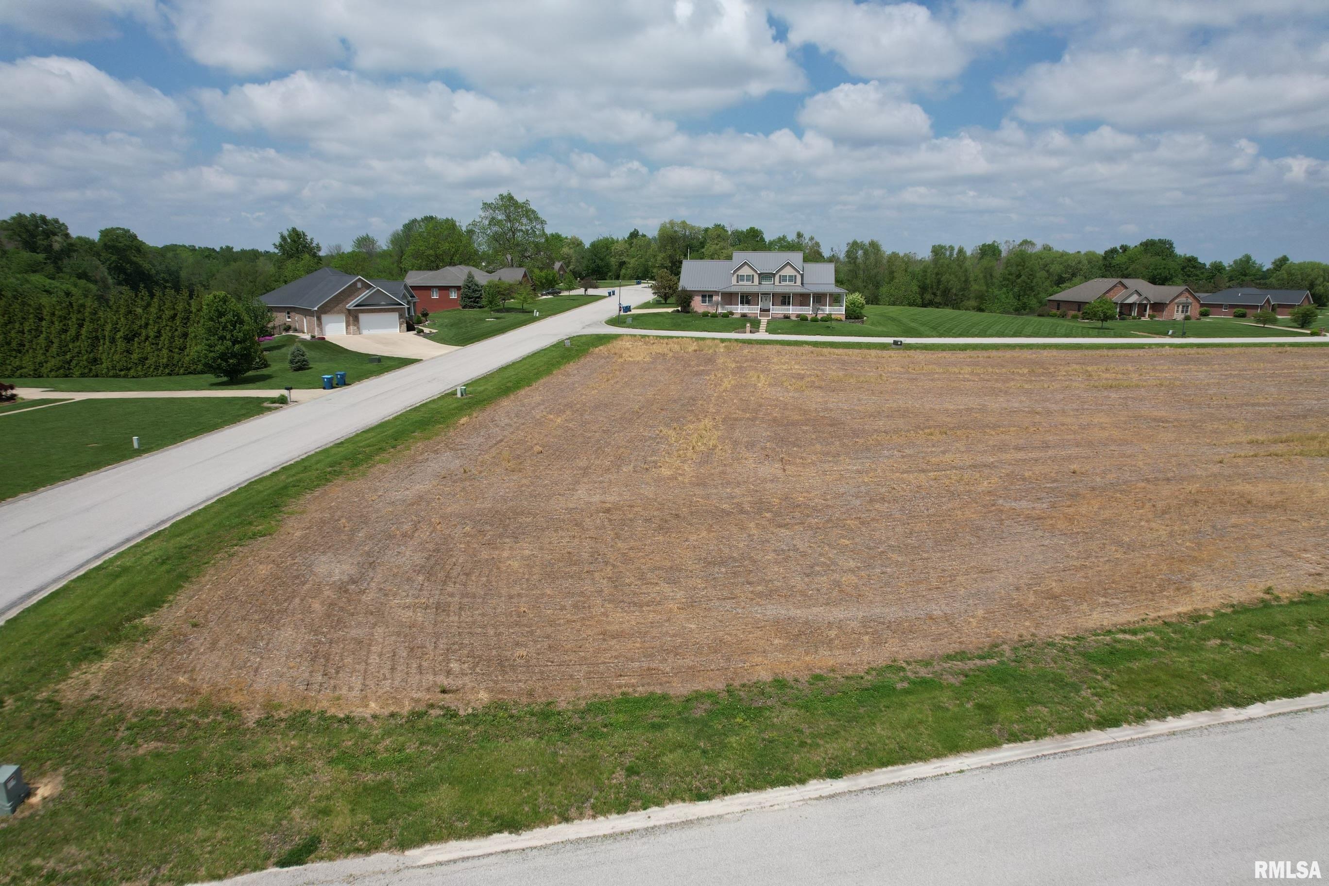 244 Walnut Albers, IL 62215 - Photo 4 of 5