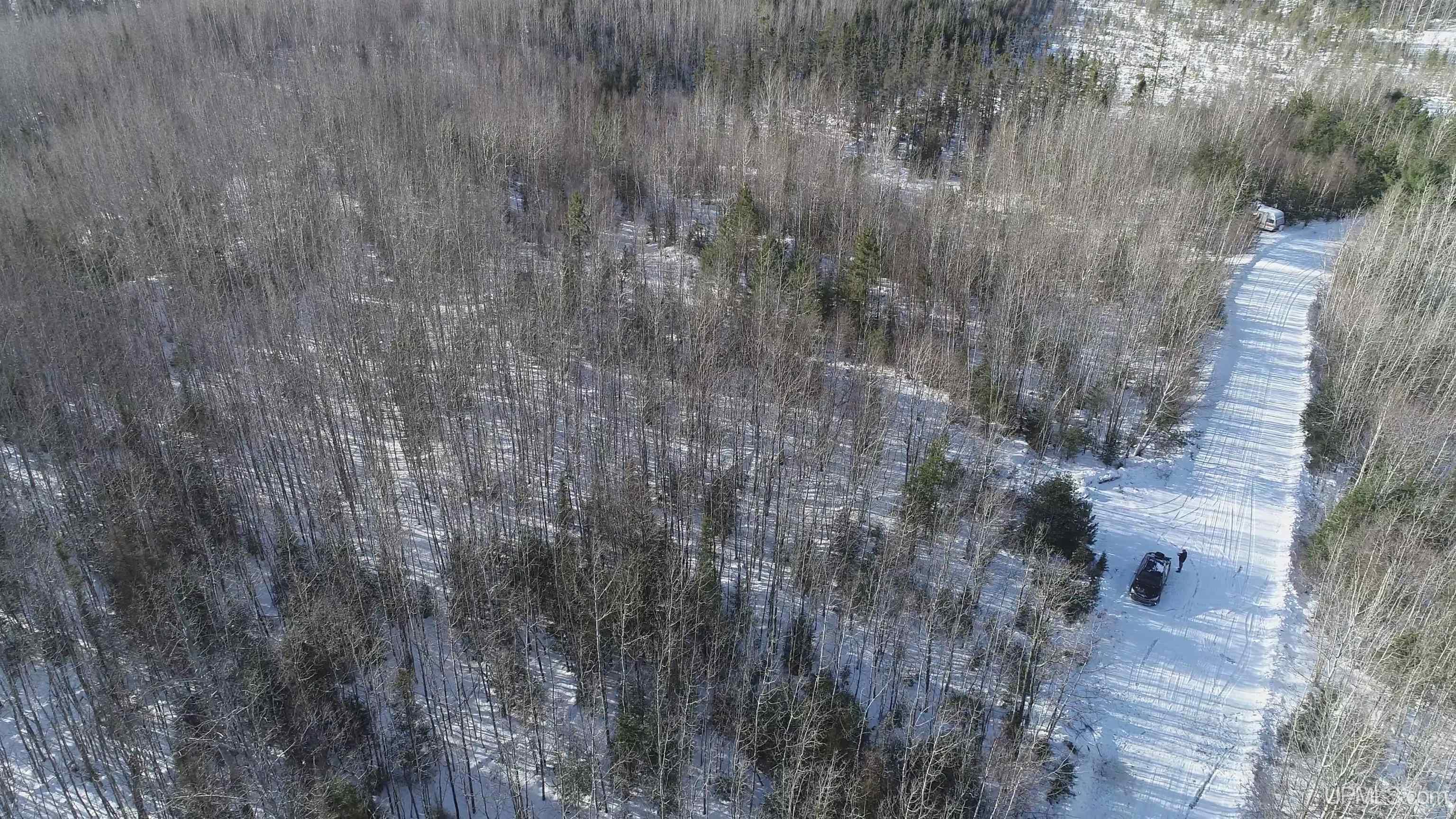 20-acres Co Rd 20-acres Co Road Champion, MI 49814 - Photo 28 of 34