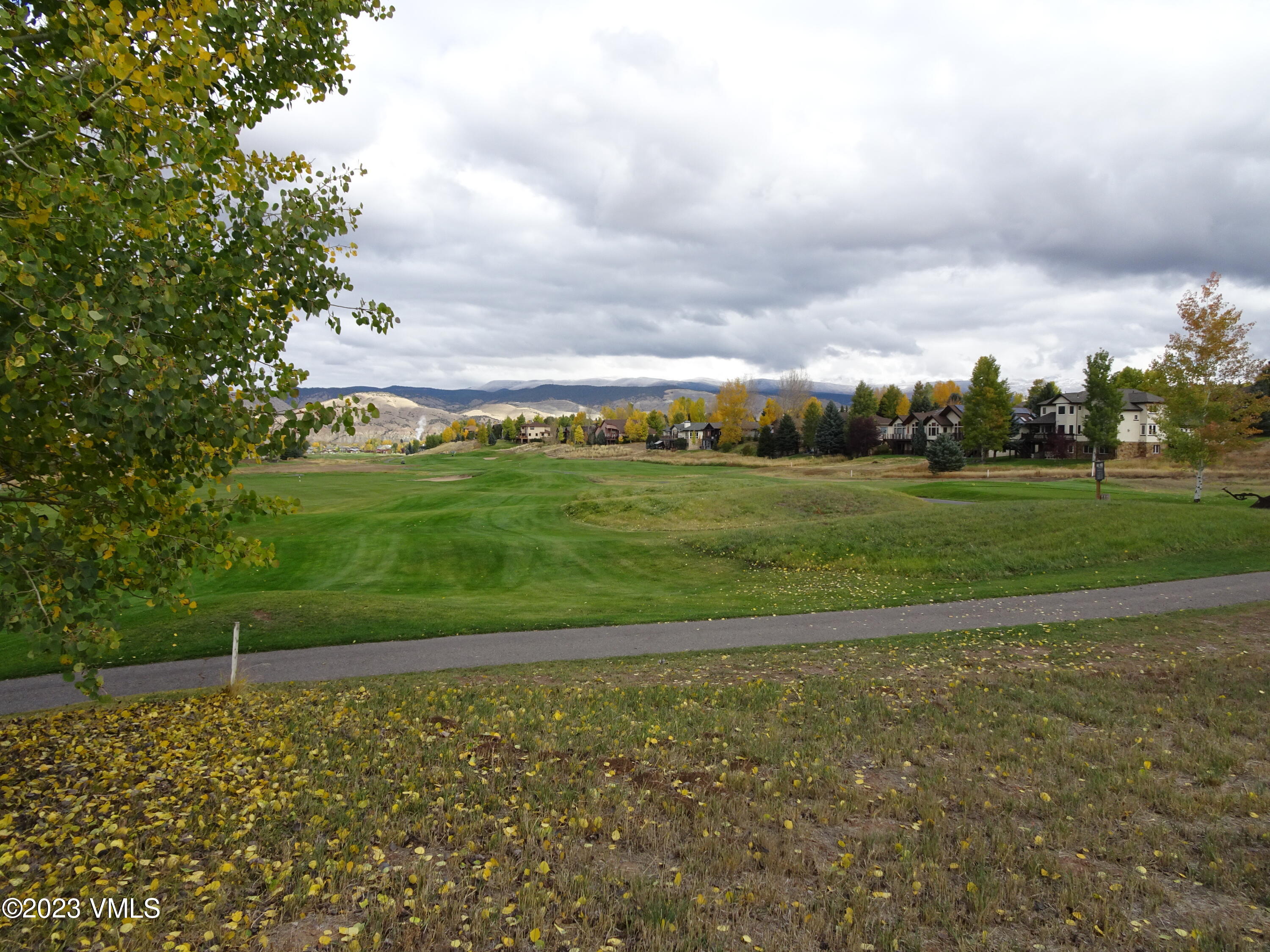 230 Timberwolf Gypsum, CO 81637 - Photo 6 of 34 a view of a yard with an trees