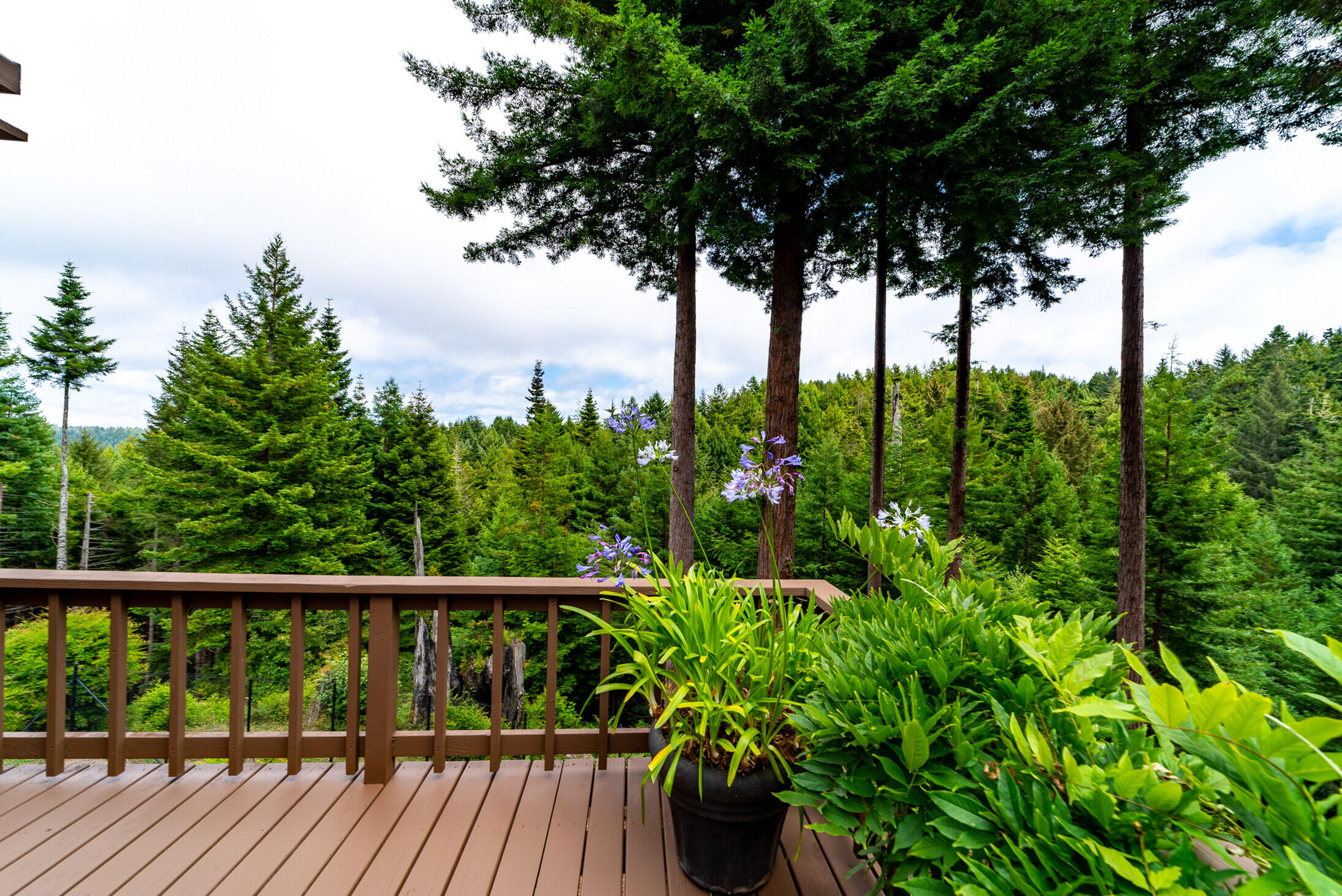 7411 Berta Road Eureka, CA 95503 - Photo 170 of 172 171_7411_Berta_Road_Eureka270_mls