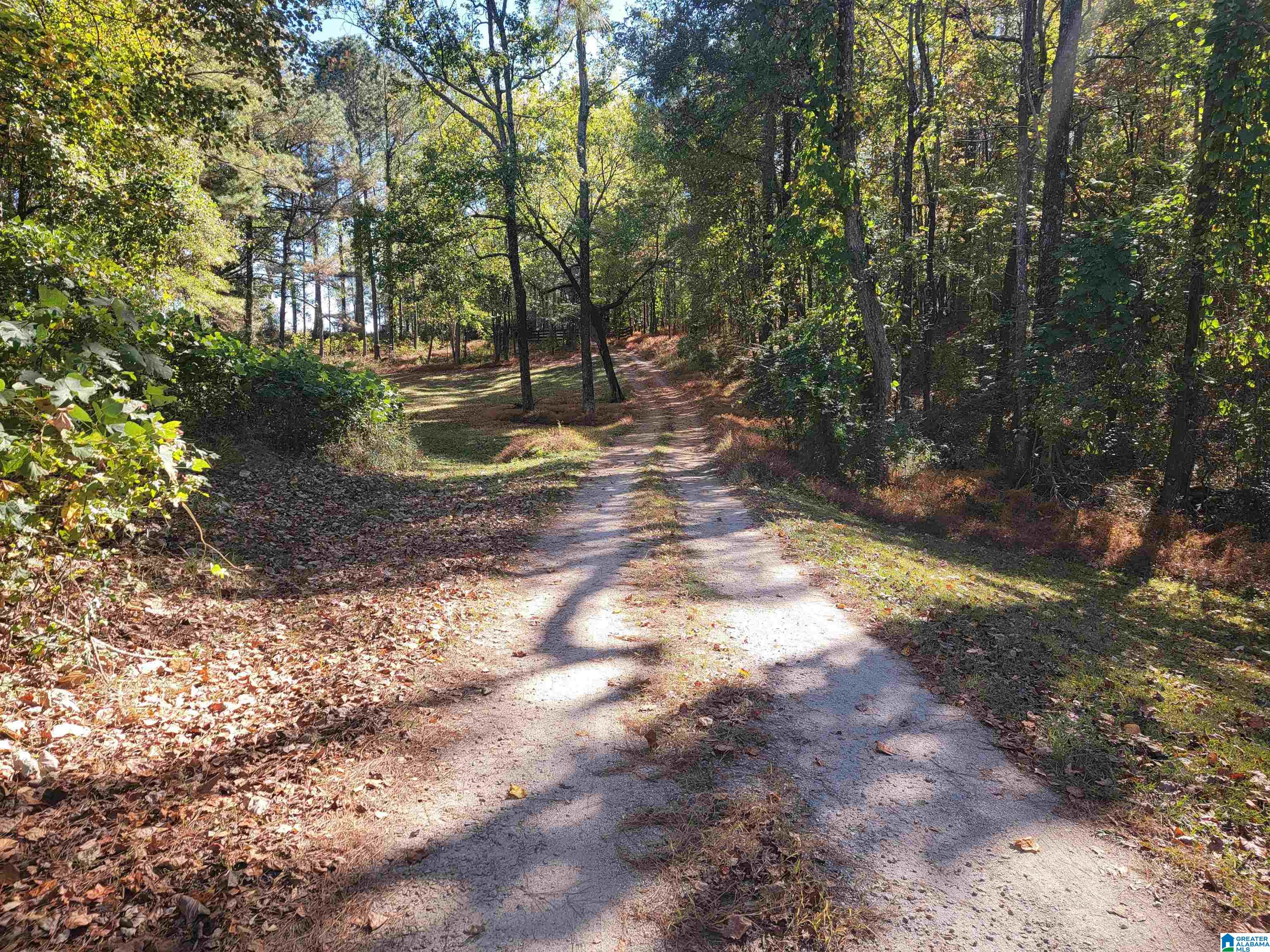 3156 Louina Road Roanoke, AL 36274 - Photo 34 of 37