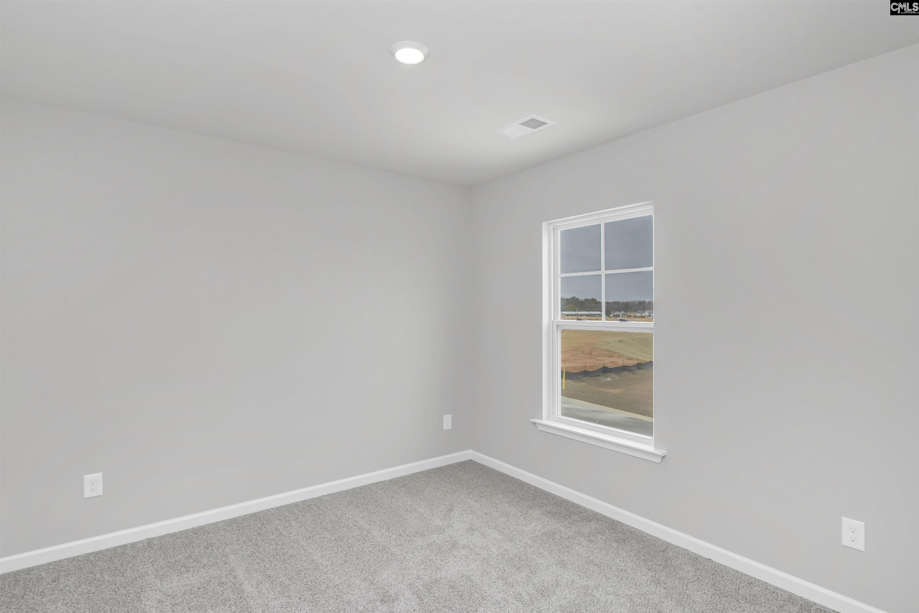 239 Boseman Road Irmo, SC 29063 - Photo 33 of 39