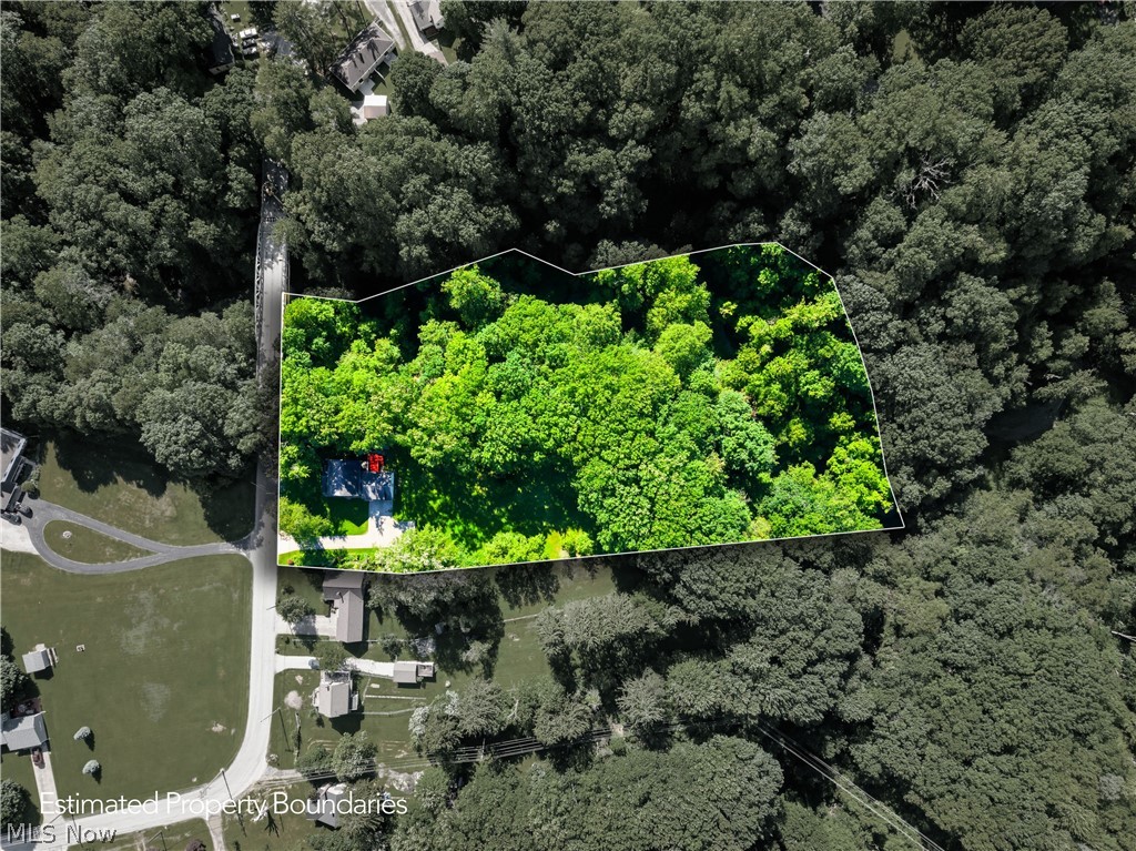 759 Runkle Avenue Ashtabula, OH 44004 - Photo 40 of 40 Aerial property overview showcasing substantial tree coverage within the estimated property boundaries