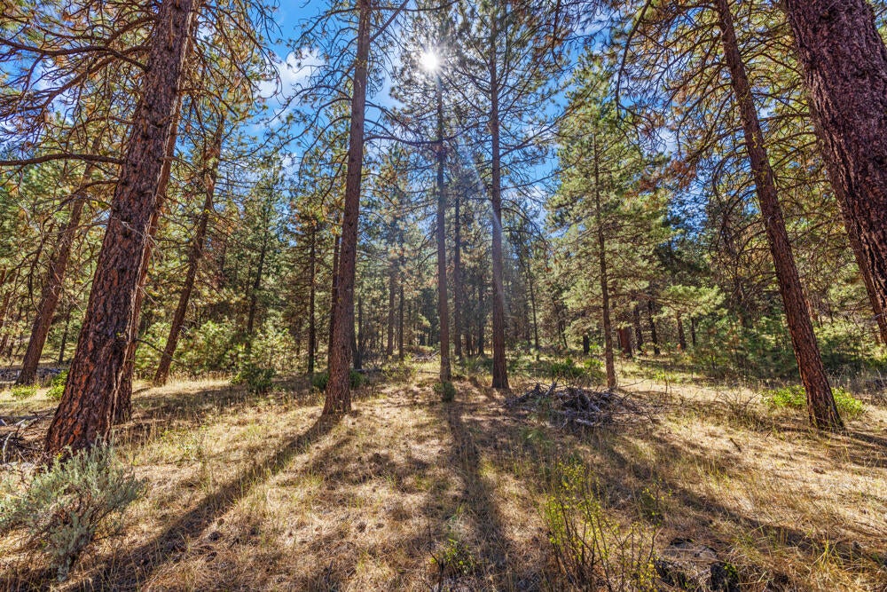Lot 26 Simpson Canyon Road Klamath Falls, OR 97601 - Photo 13 of 33 SimpsonCanyonLand-6