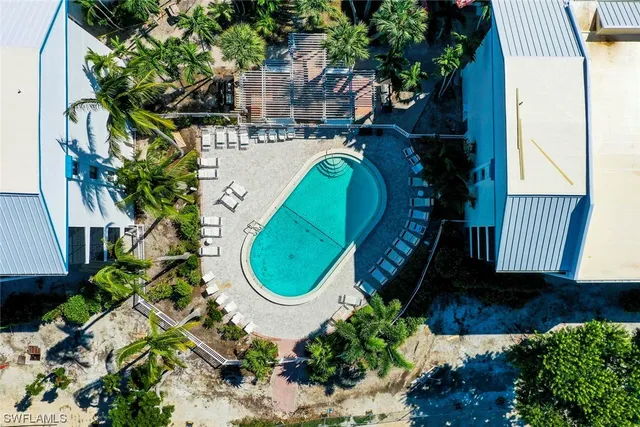 a view of a swimming pool with a yard and palm trees