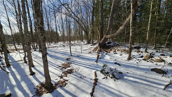 $169,900 | 1316 William Ernst Road, Lewis, NY 13489