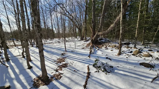 $169,900 | 1316 William Ernst Road, Lewis, NY 13489