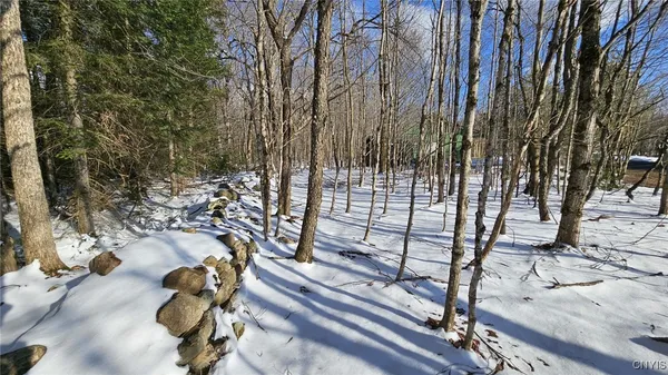 $169,900 | 1316 William Ernst Road, Lewis, NY 13489