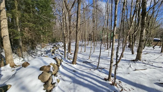 $169,900 | 1316 William Ernst Road, Lewis, NY 13489