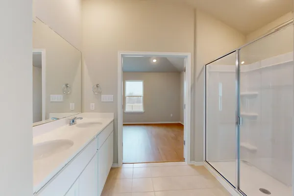 a bathroom with a sink a shower and a mirror