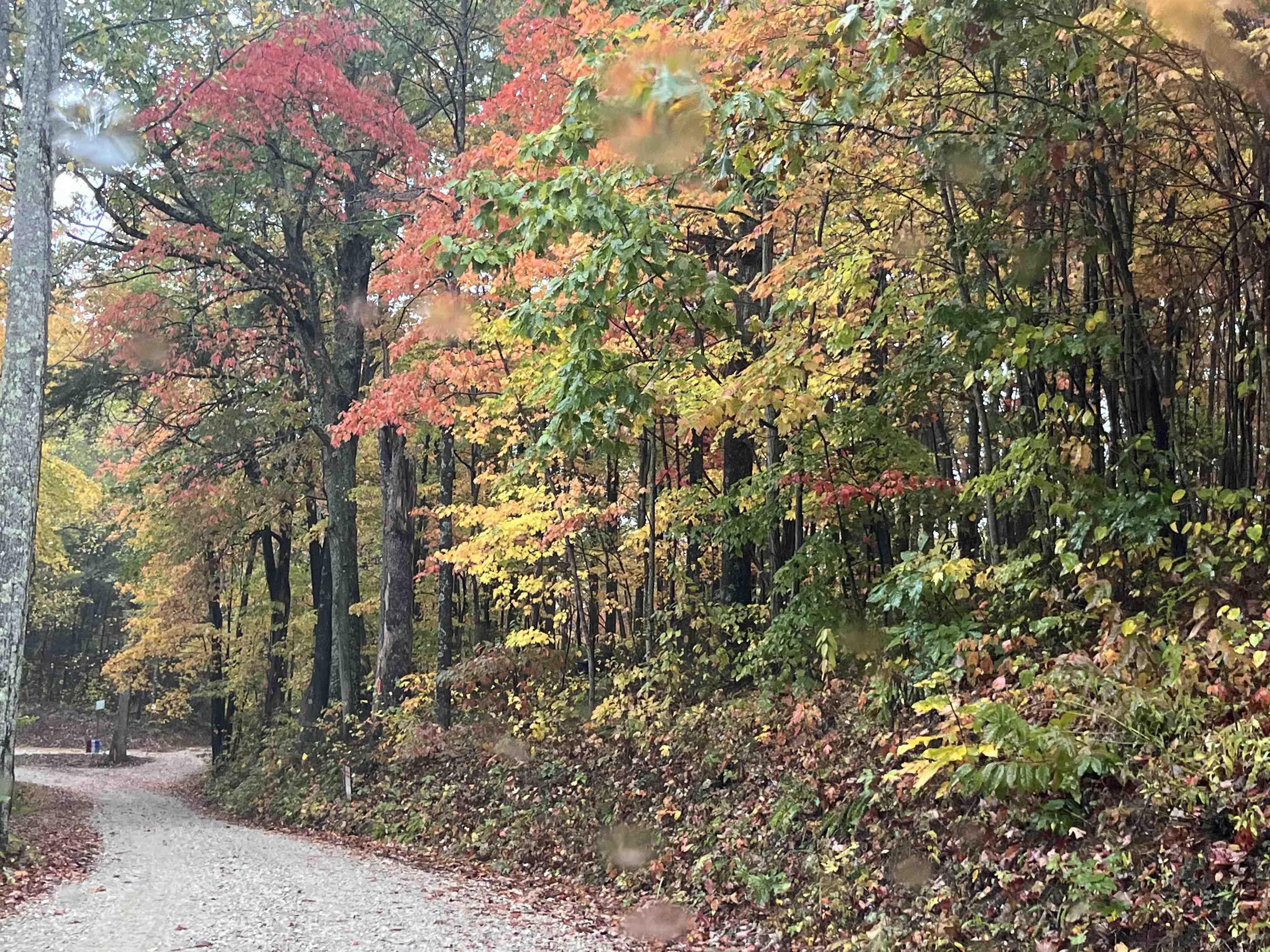 0 Sawpit Road Greenup, KY 41144 - Photo 2 of 8 Gallery Image 2