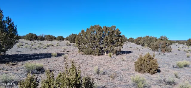 a view of mountain view with trees