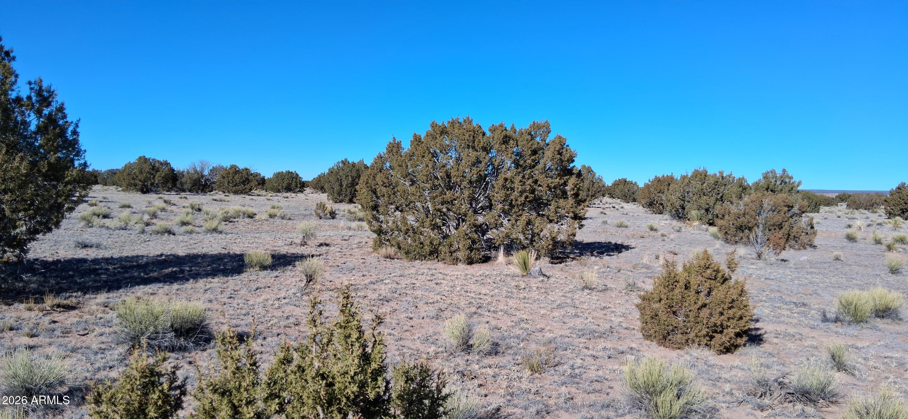 a view of mountain view with trees