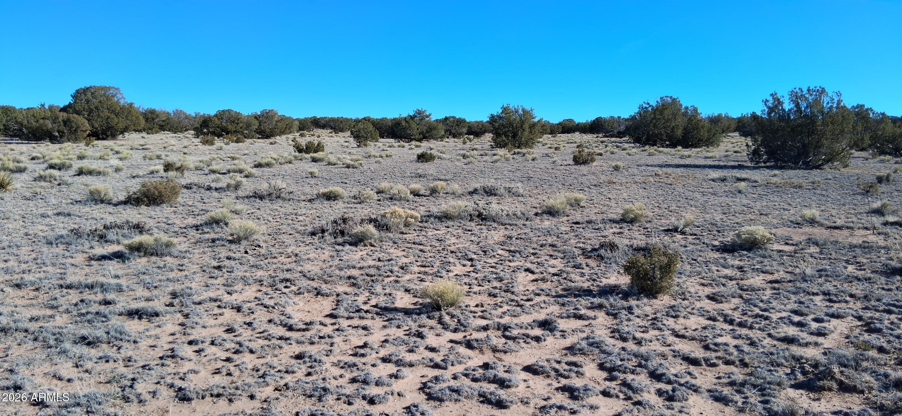 24 County Rd N6578, Unit 857 St. Johns, AZ 85936 - Photo 12 of 22 a view of a dry field