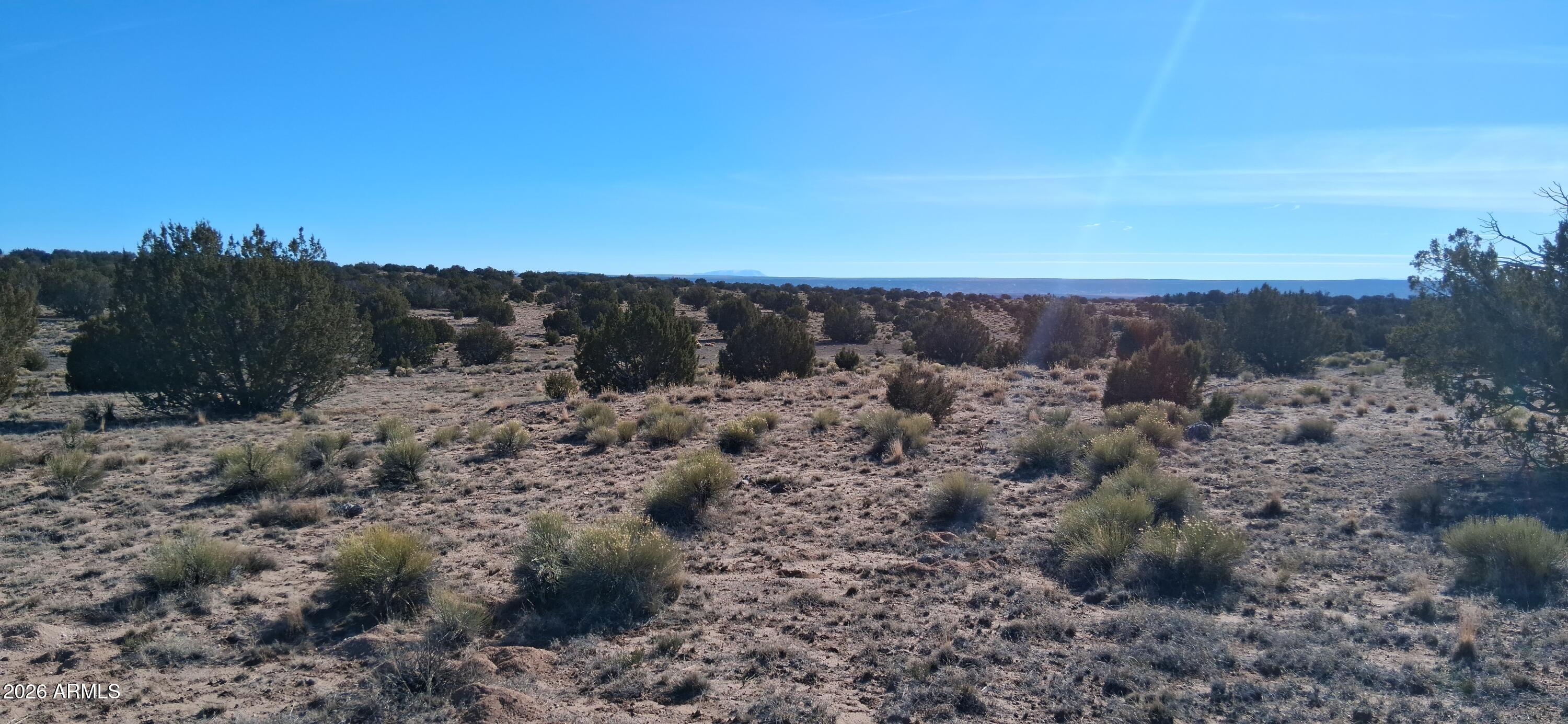 24 County Rd N6578, Unit 857 St. Johns, AZ 85936 - Photo 13 of 22 a view of a dry yard with trees