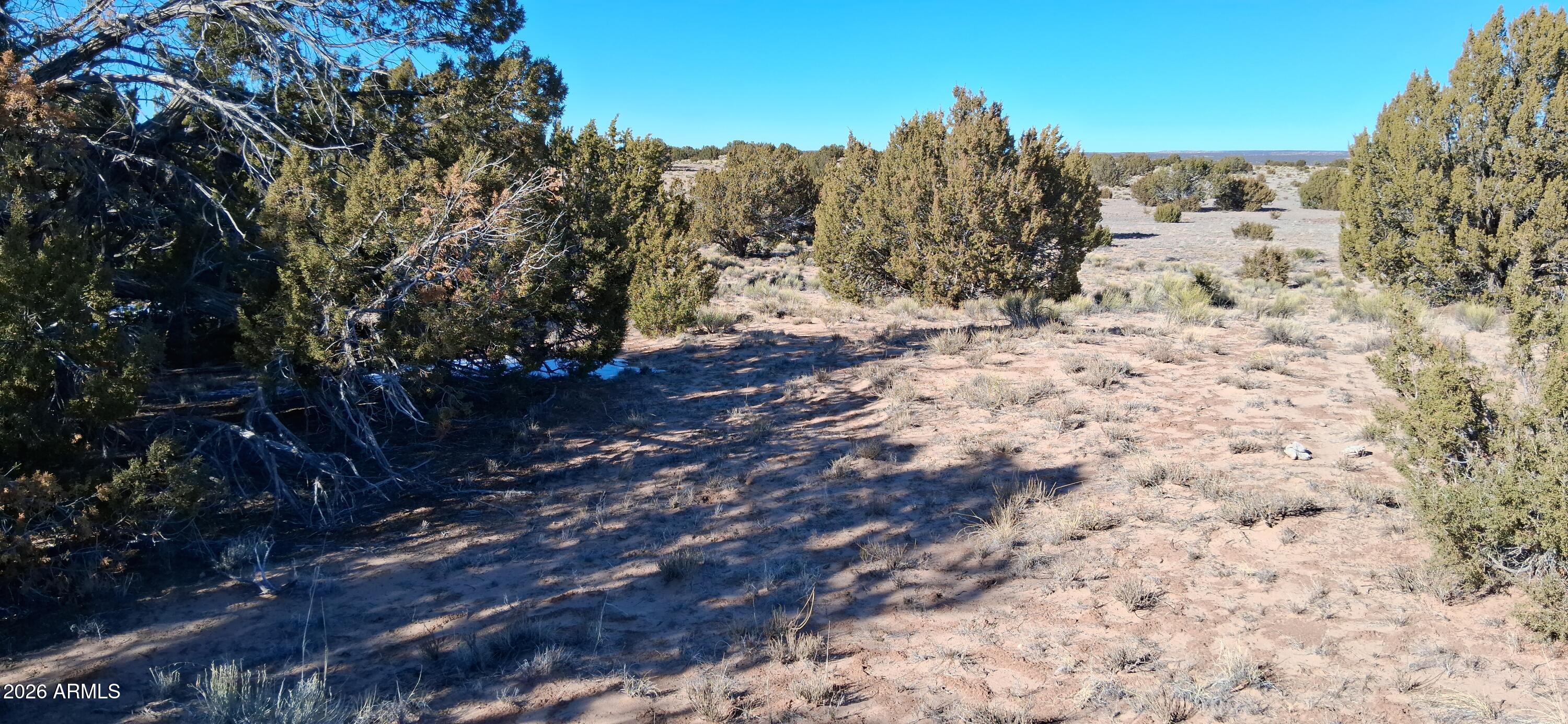24 County Rd N6578, Unit 857 St. Johns, AZ 85936 - Photo 16 of 22 a view of a yard with a tree