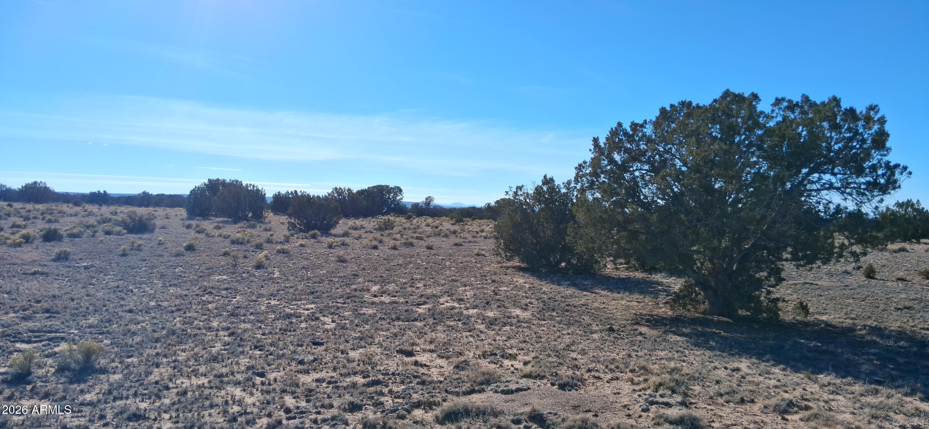 24 County Rd N6578, Unit 857 St. Johns, AZ 85936 - Photo 17 of 22 a view of a dry yard with trees in the background