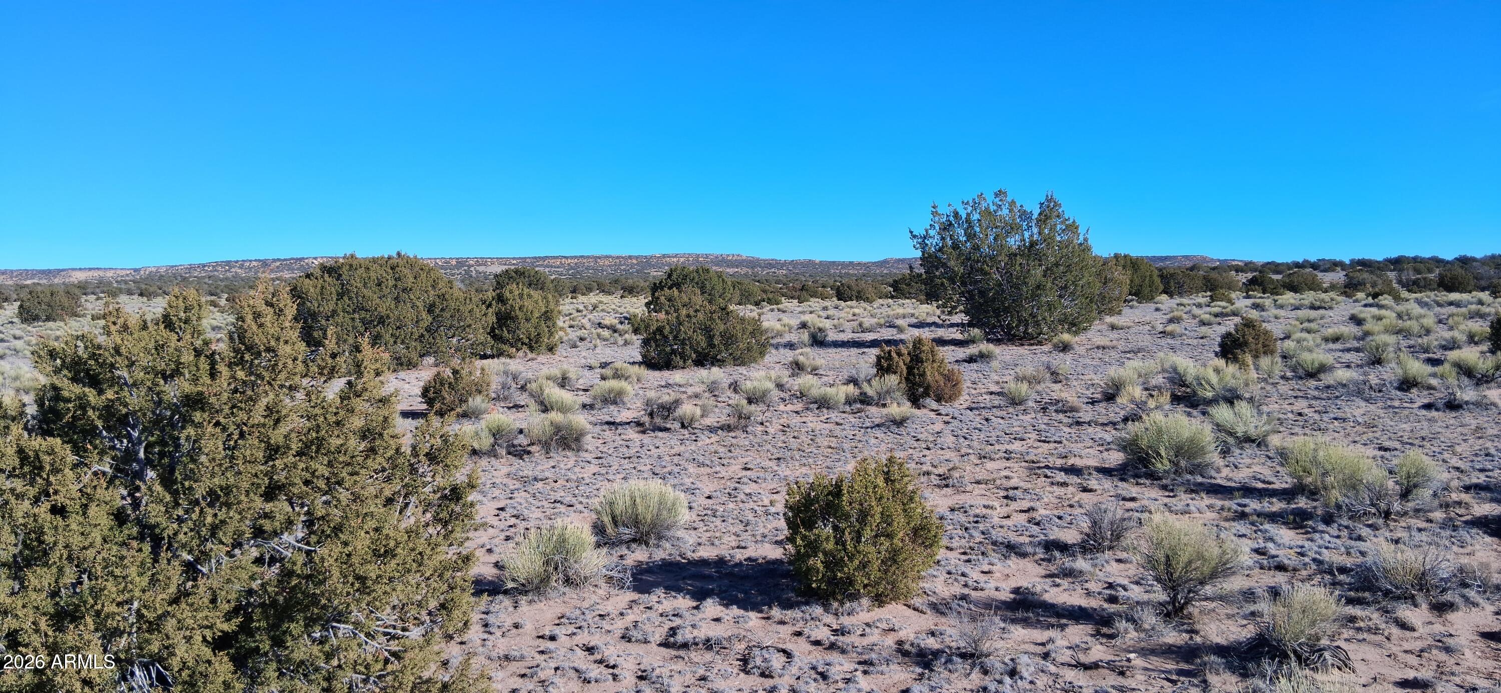 24 County Rd N6578, Unit 857 St. Johns, AZ 85936 - Photo 19 of 22 a view of a dry field with mountains in the background