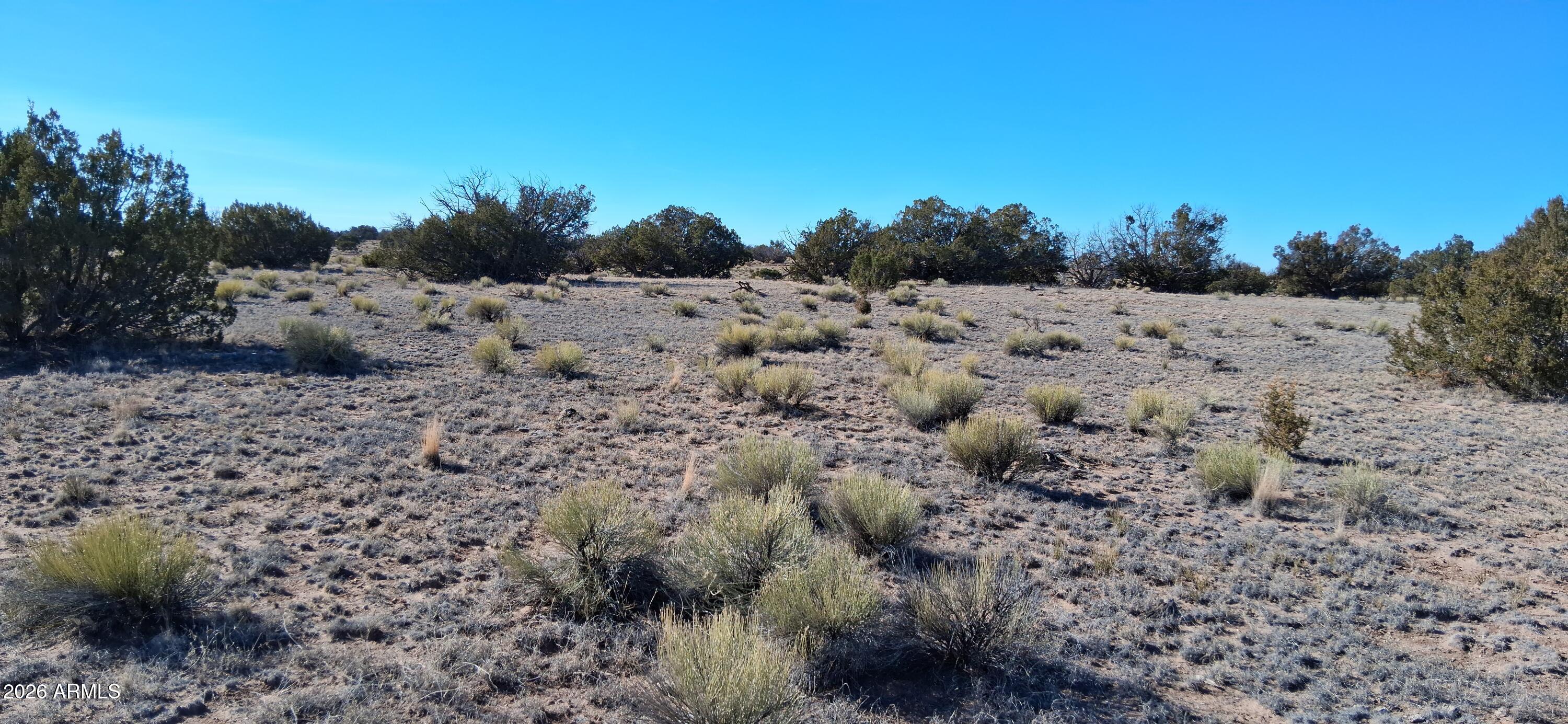 24 County Rd N6578, Unit 857 St. Johns, AZ 85936 - Photo 20 of 22 a view of a dry yard covered with trees