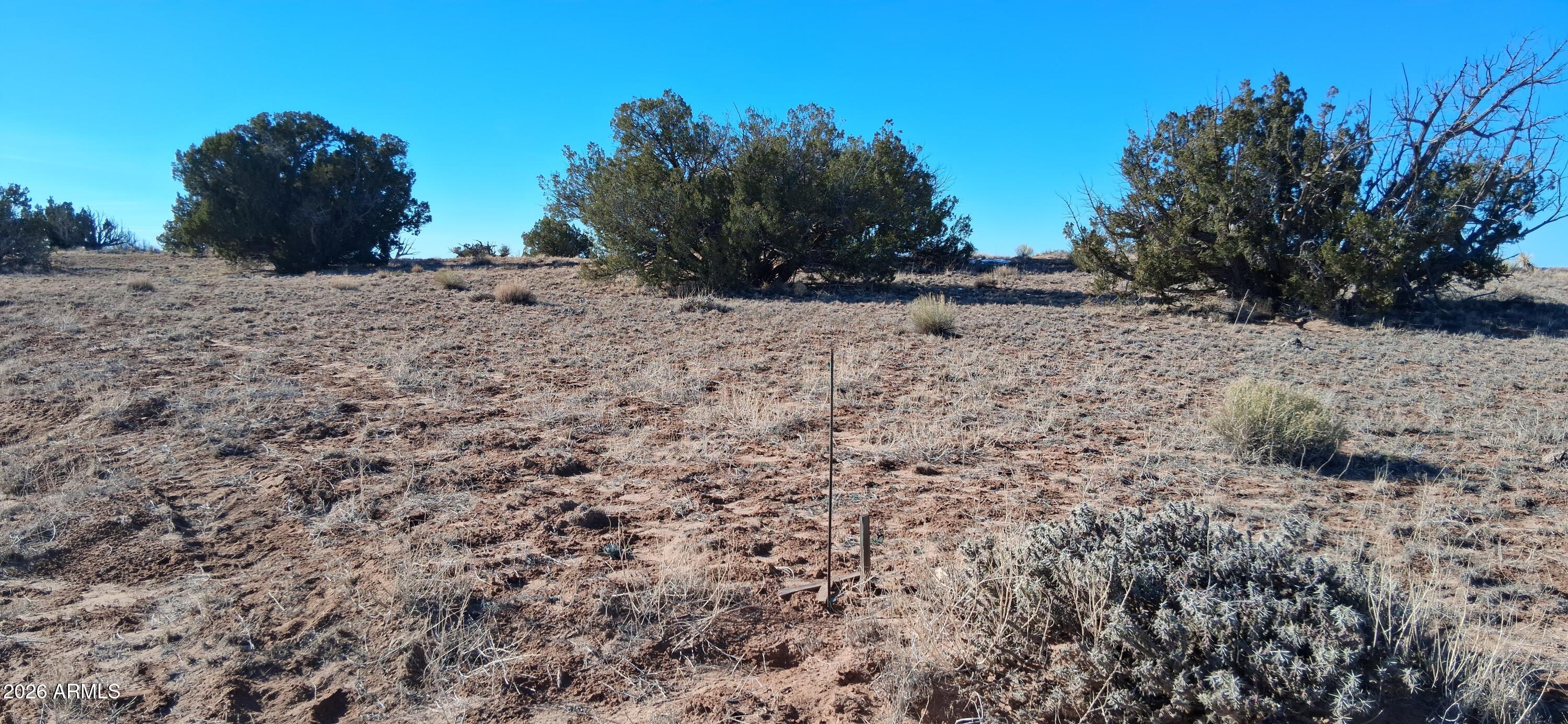 24 County Rd N6578, Unit 857 St. Johns, AZ 85936 - Photo 3 of 22 a view of dirt yard with a large tree