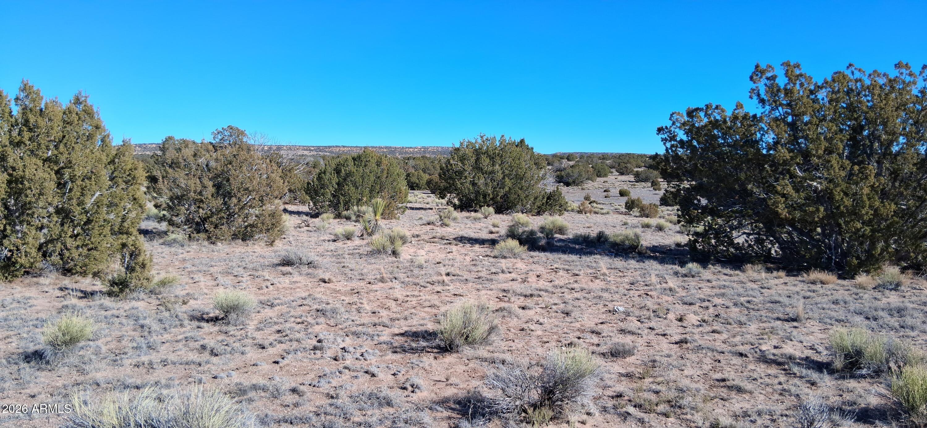24 County Rd N6578, Unit 857 St. Johns, AZ 85936 - Photo 4 of 22 a view of a dry yard with trees in the background