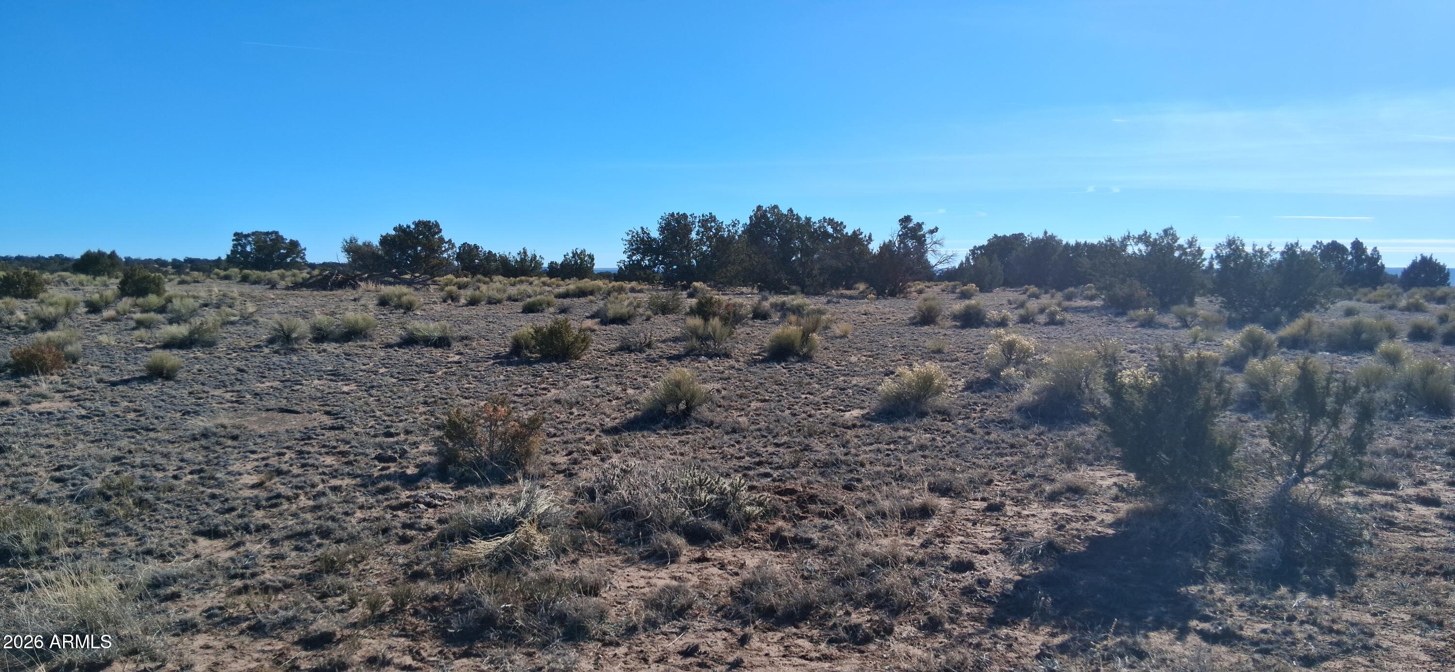 24 County Rd N6578, Unit 857 St. Johns, AZ 85936 - Photo 5 of 22 a view of a dry field with trees in the background