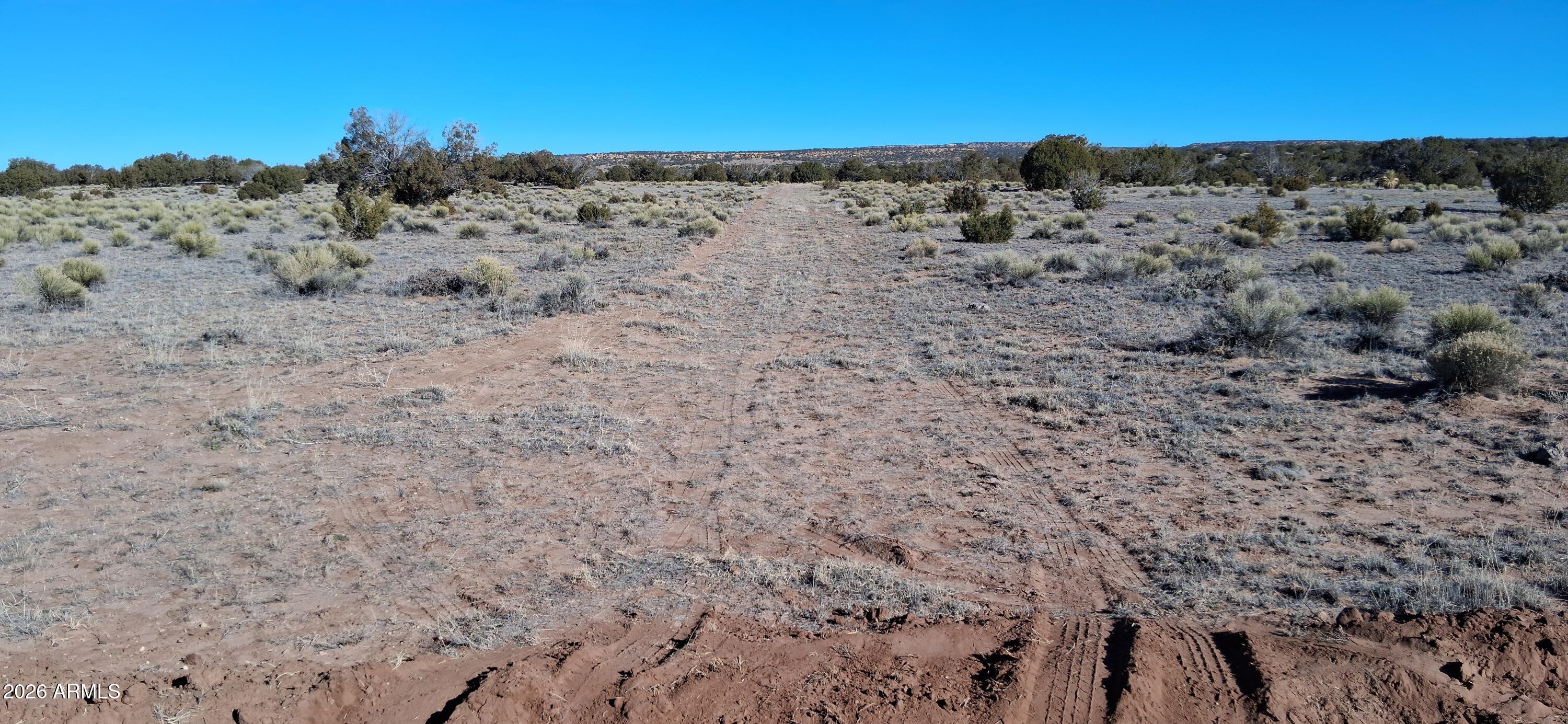 24 County Rd N6578, Unit 857 St. Johns, AZ 85936 - Photo 6 of 22 a view of a dry field with trees in the background