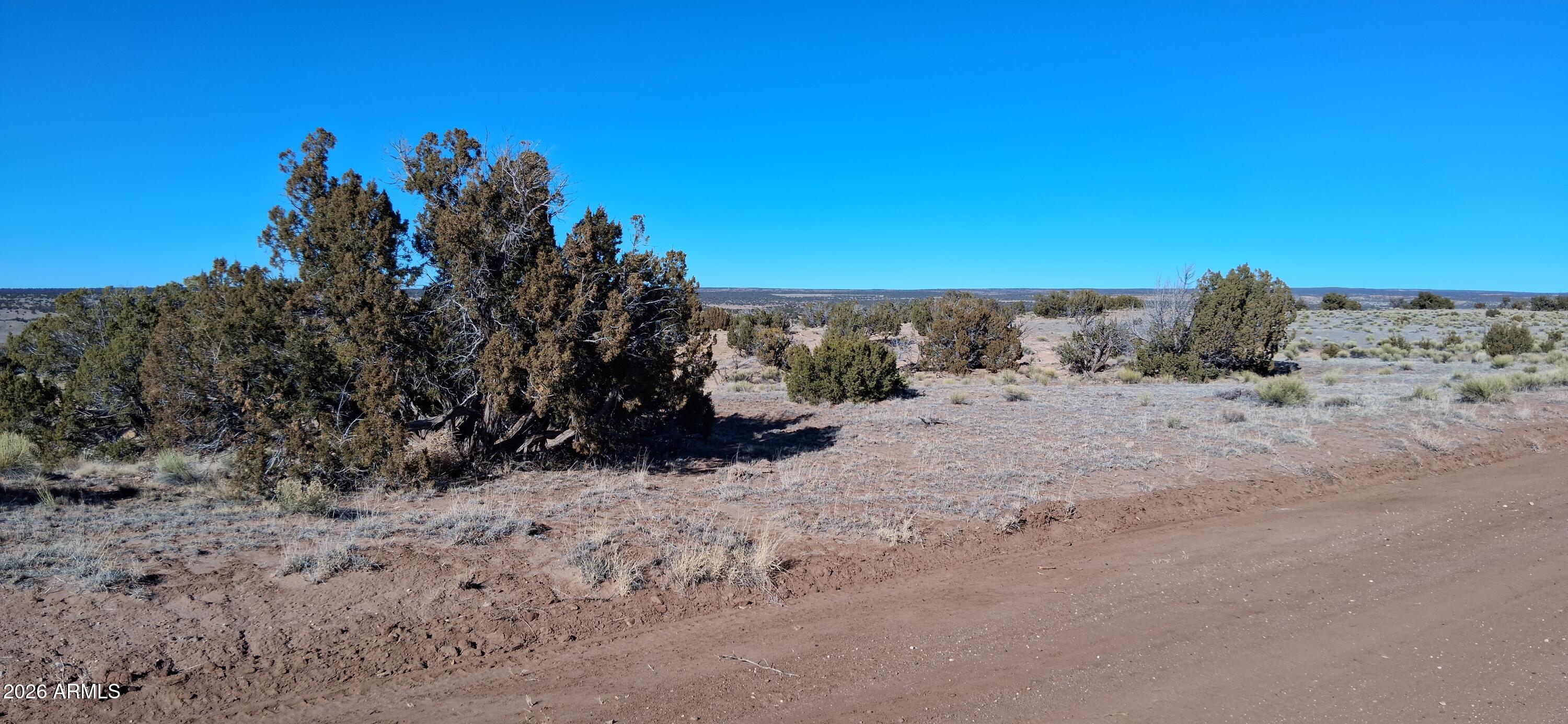 24 County Rd N6578, Unit 857 St. Johns, AZ 85936 - Photo 7 of 22 a view of a dry yard with trees in the background