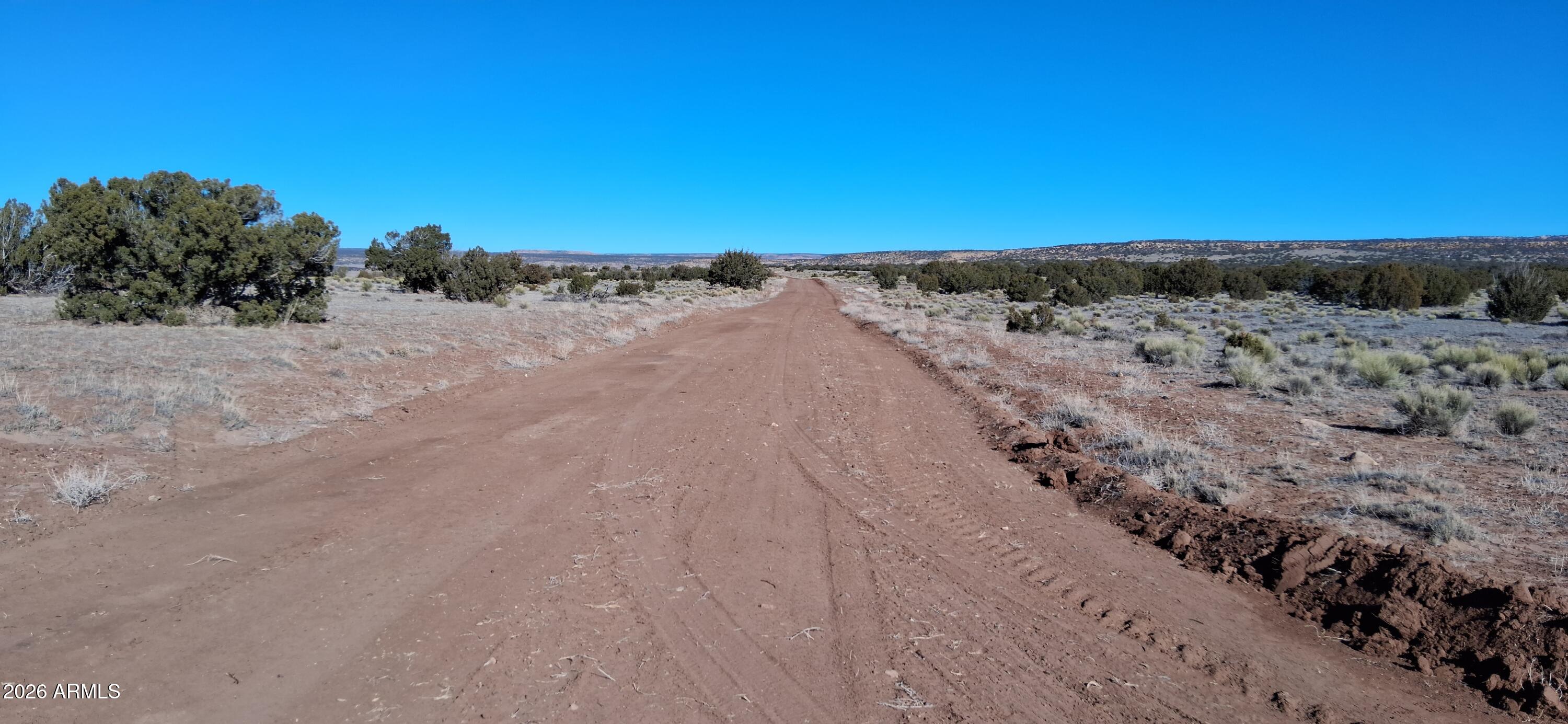 24 County Rd N6578, Unit 857 St. Johns, AZ 85936 - Photo 8 of 22 a view of a dry yard with trees in the background