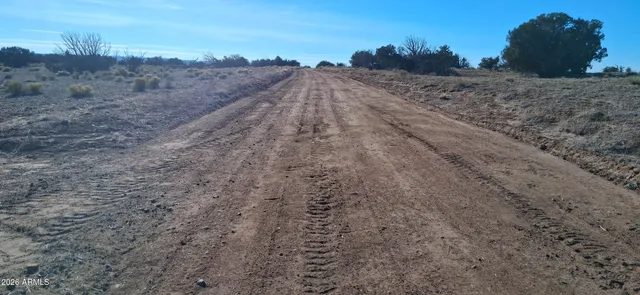 a view of a dry field with trees in the background