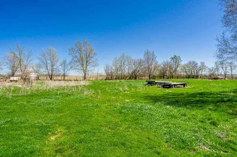 17427 West Douglas Road Brodhead, WI 53520 - Photo 54 of 89 a grassy field with trees in the background