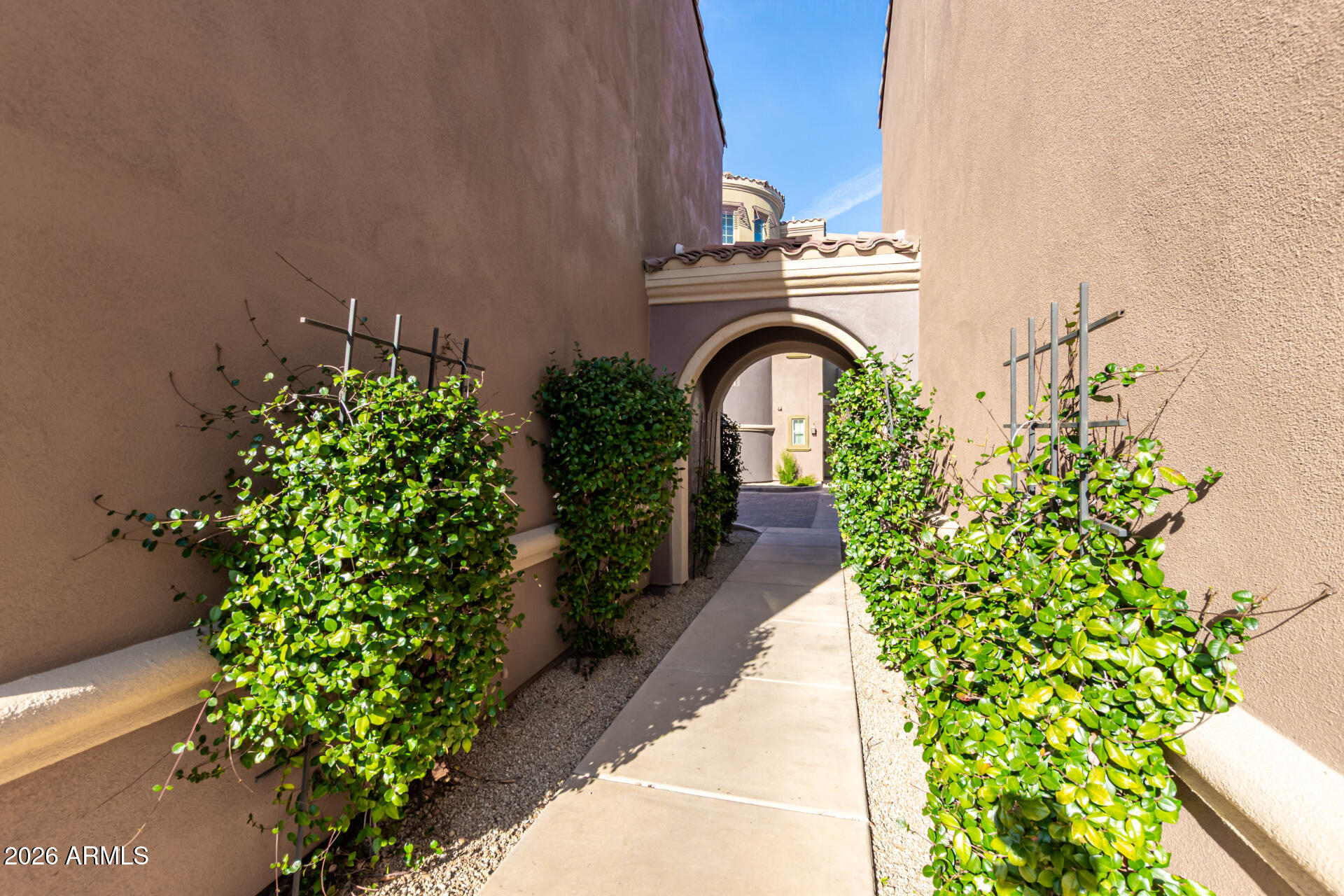 3935 East Rough Rider Road, Unit 1285 Phoenix, AZ 85050 - Photo 3 of 40 a view of a garden with plants